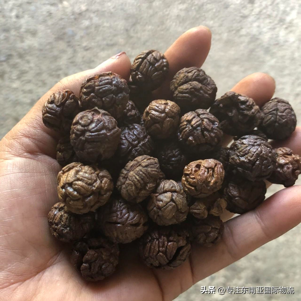 越南豆蔻海运进口深圳港如何办理清关