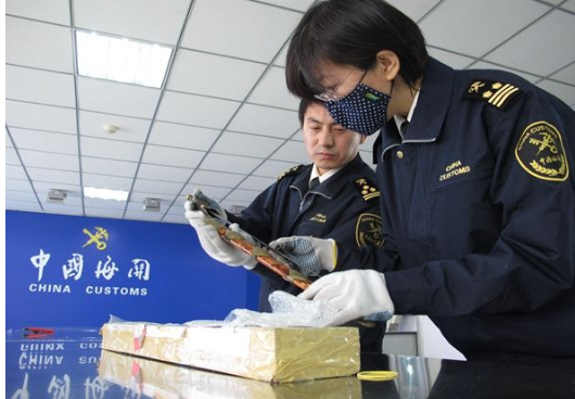 跨境电商出口适用哪种监管方式(跨境电商有哪几种报关式)