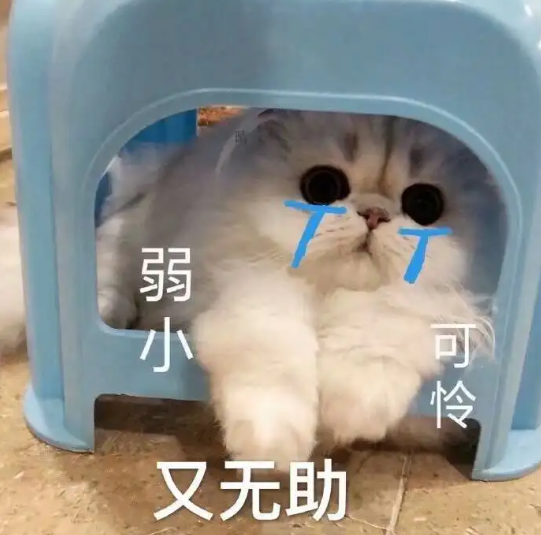 国际快递 国际快递
